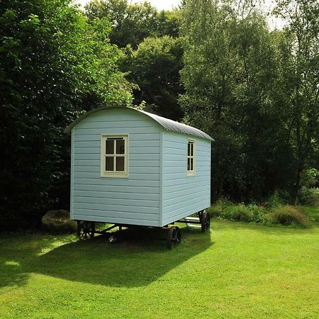 Blackstairs Shepherds Huts Killedmond Ngoại thất bức ảnh