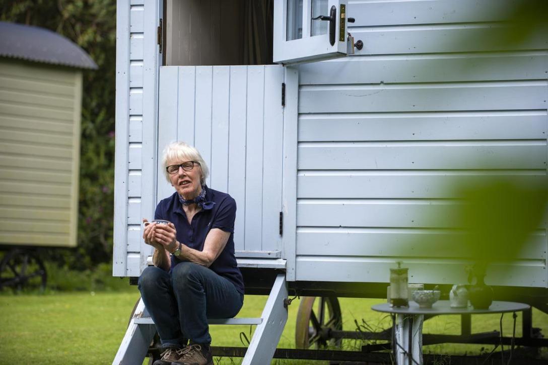 Blackstairs Shepherds Huts Killedmond Ngoại thất bức ảnh