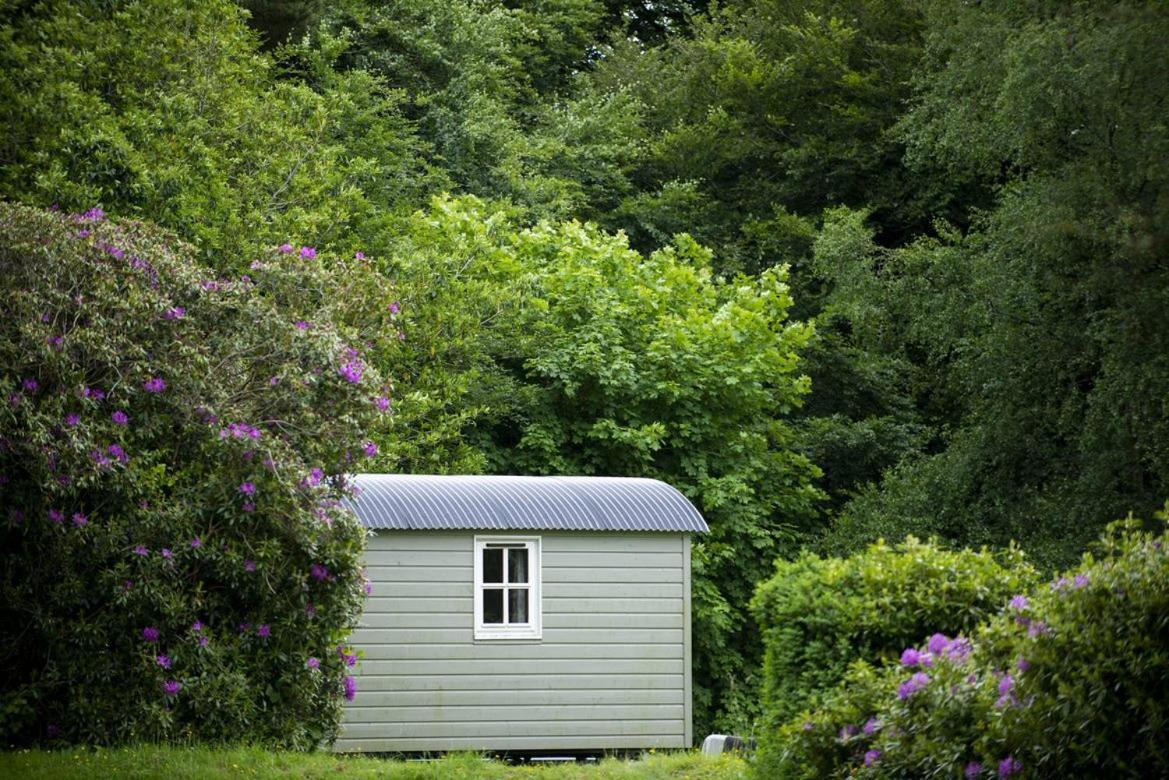 Blackstairs Shepherds Huts Killedmond Ngoại thất bức ảnh