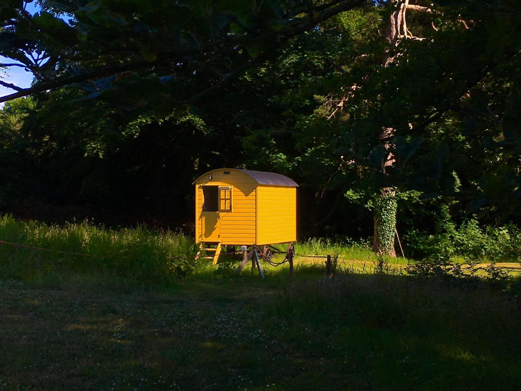 Blackstairs Shepherds Huts Killedmond Ngoại thất bức ảnh