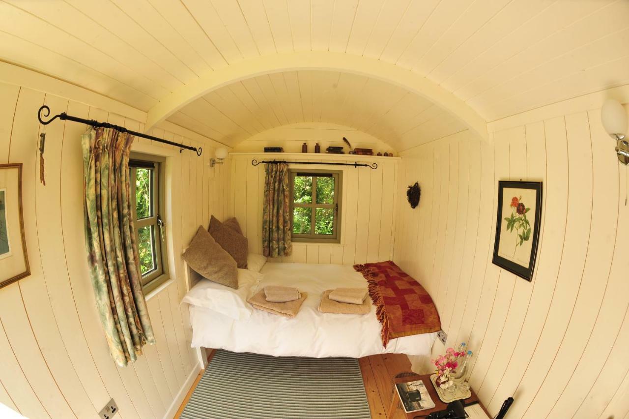 Blackstairs Shepherds Huts Killedmond Ngoại thất bức ảnh