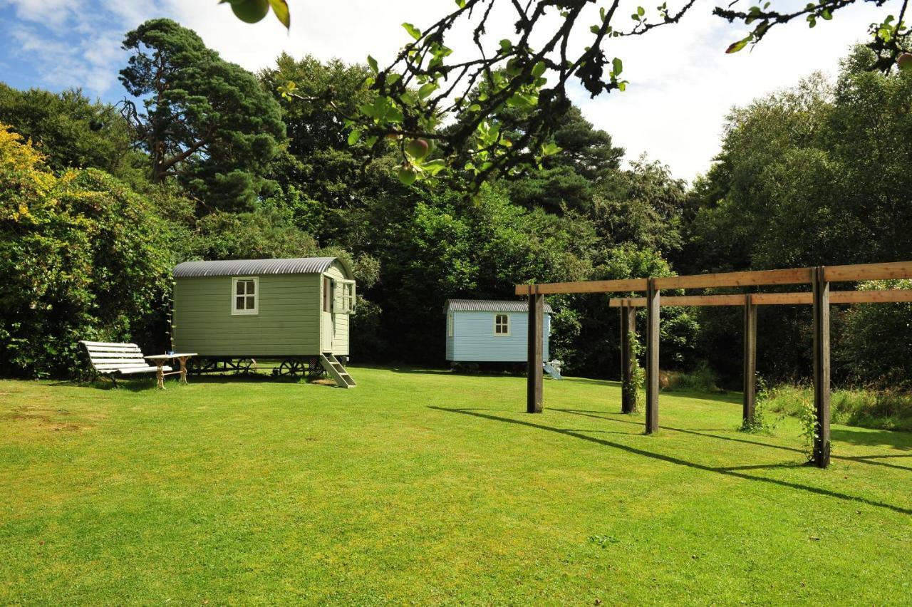 Blackstairs Shepherds Huts Killedmond Ngoại thất bức ảnh