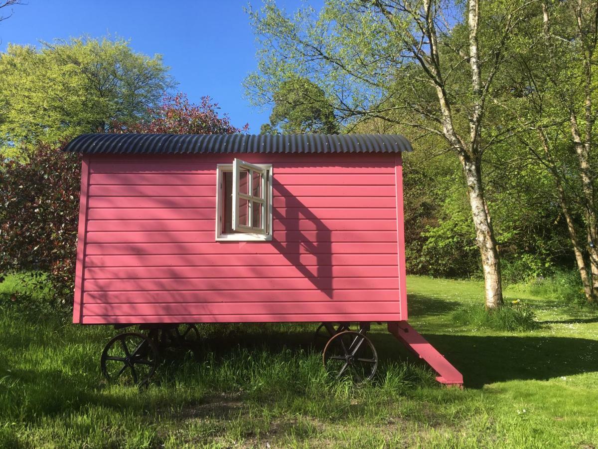 Blackstairs Shepherds Huts Killedmond Ngoại thất bức ảnh