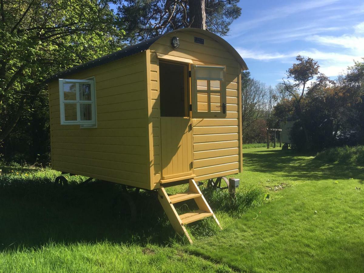 Blackstairs Shepherds Huts Killedmond Ngoại thất bức ảnh